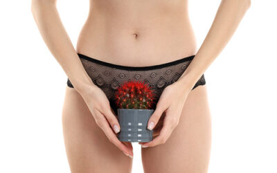 culotte-menstruelle-regle-femme