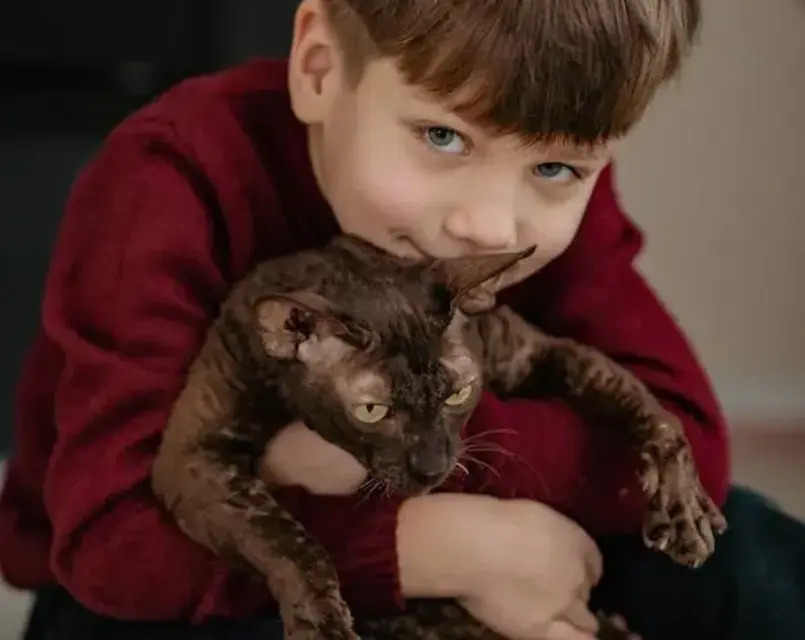 éducation des enfants